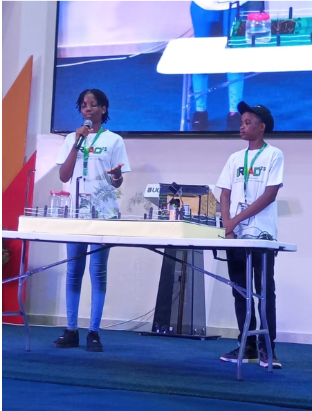STEM Workshop